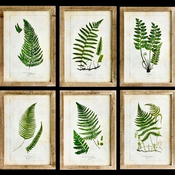 Small Accent Prints 9-18in Width