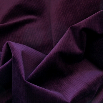 Purple Bristol Velvet Purple