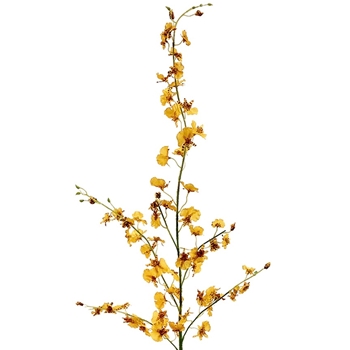 Oncidium Orchid 40in