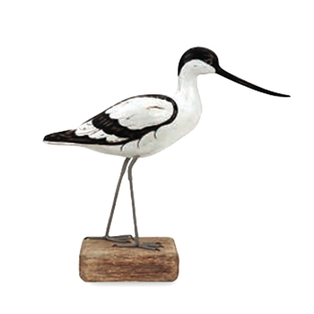Avocet Walking 13in
