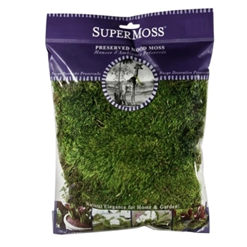 Moss Preserved Mood 4OZ PKG