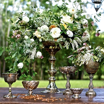 Fairytale Collection