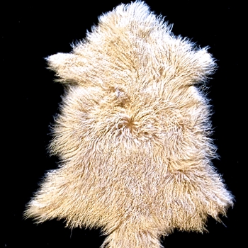Tibet Mongolian Fur Tuscan Pelt 34W/22D
