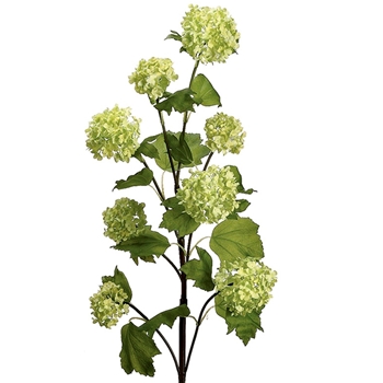 Snowball - Branch 8Bloss Celadon 30in - HSV445-GR