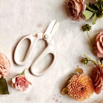 Floral Clippers - White The Floral Society 4x6