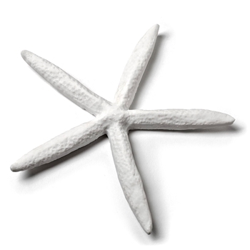 Sea Starfish Faux 6In White