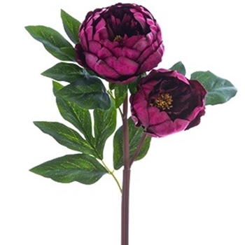 Peony - Fuchsia 22in 2 Heads - FSP025-BU