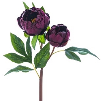 Peony - Aubergine 22in 2 Heads - FSP025-WI
