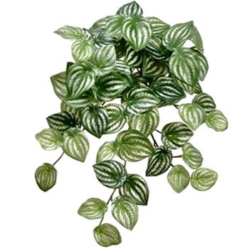 Peppermonia Plant - Cascade Variegated Green White 16in - PBW017-GR/SI