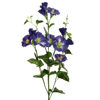 Morning Glory - Cobalt Blue 31IN