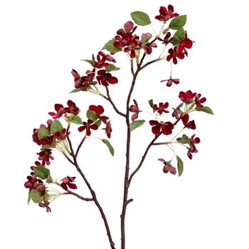 Blossom - Apple Burgundy 36in - HSB361-BU