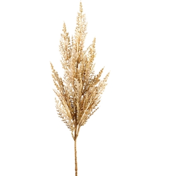 Pampas Grass - Flower Beige 33in - FSG542-BE
