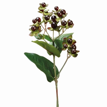 Berry - Hypericum Pick Aubergine 22in