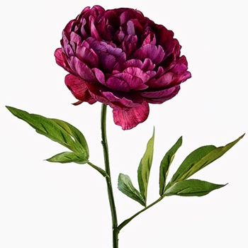 Peony - Bloom Vintage Dried Purple 25in - FSP447-PL