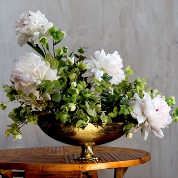 Compote - Charlize Gold Large 14W/5H