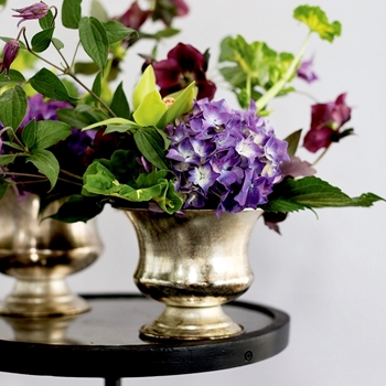 Urn - Sidney Brass Small 6W/5H