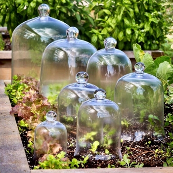 Cloche - Classic Bell Jar Clear MD 7.5W/11H