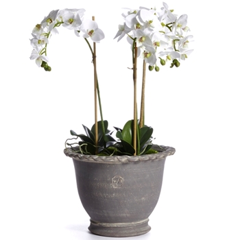 Planter - Wakefield Alvena Grey MD 9.5W/7H - Handmade