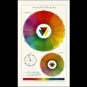 Tea Towel - Colour Wheel 19x32 100% Cotton - Italy