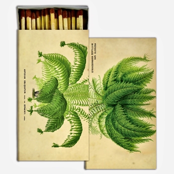Matches - Ferns Sepia - 4x2in Box50