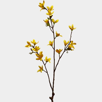 Blossom - Forsythia 29in Yellow - FSF777-YE