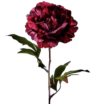 Peony - Bloom Velvet Shimmer Burgundy 26in - XFS339-BU