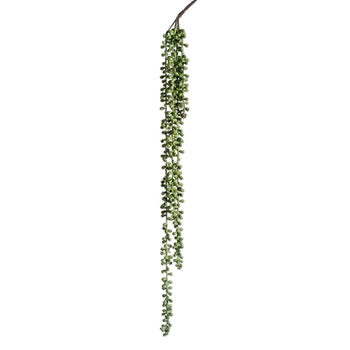 Pearl String Succulent 28in