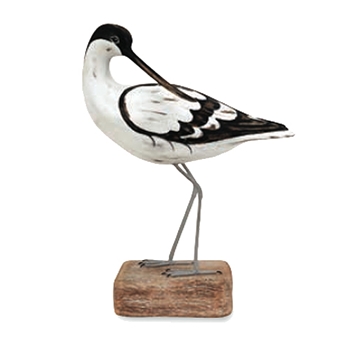 Avocet Preening 12in