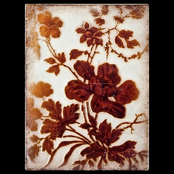 2013 Fall Collection/ Teacup