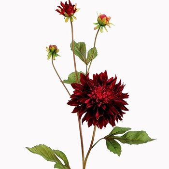 Dahlia w/ Buds 37in