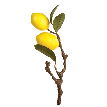 Fruit Lemon Cutting 11IN