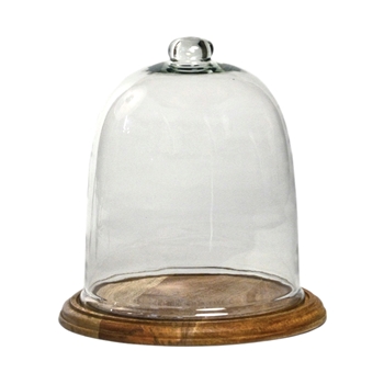 Cloche Dome LG 14W/14H Mango Wood