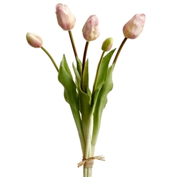 Tulip - Bundle X5 Blush Pink 18in - FST316-PK