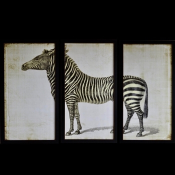 51W/32H Framed Glass Print Zebra Set3