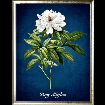 18W/24H Framed Glass Print Peony Azure