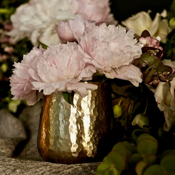 Vase - Hux Pot Brass LARGE 6W/6.5H