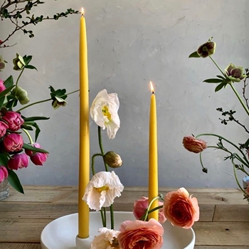 Candle - The Floral Society Saffron Taper 18IN PAIR