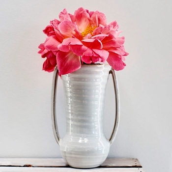 Vase - Zara Oyster Large 6W/5D/9H