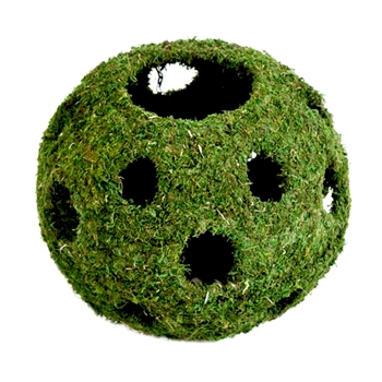 Preserved Moss Globe Planter Hanging - 18in Indoor & Outdoor