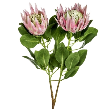 Protea - King Petal Pink  2Head 34in - FSP404-PK