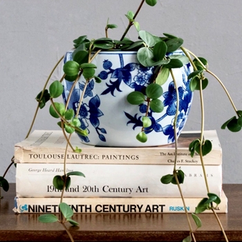 Planter - Delft Chinois 8W/6H