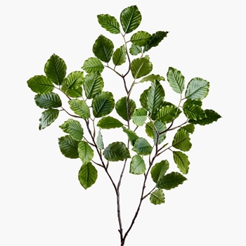 Beech  - Leaf Spray Green 39in - PSB003-GR