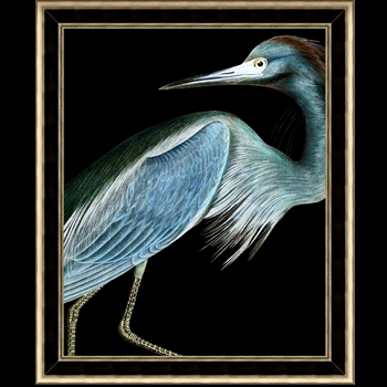 24W/28H Glass Framed Matte Paper - Stately Heron 1 - Black/Silver MC1974 Frame - Thom Filicia