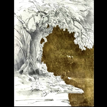 54W/73H Giclee - Golden Shade - Derek Shaw - Custom Sizes - 24x33, 30x40, 36x49, 40x54, 47x64, 54x73. Broad selection of frames.