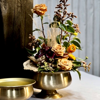 Compote - Fiona Brass 10W/6H