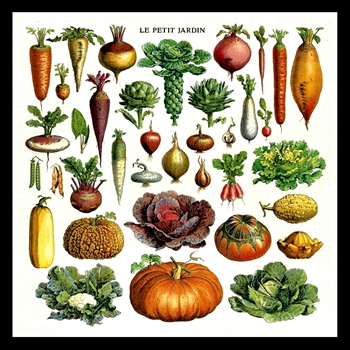 Napkin - Jardin 19x19 100% Cotton Set4 in Gift Pouch - Italy