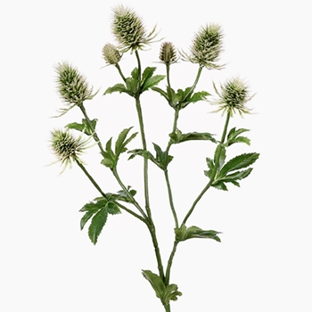 Thistle Spray - Sage Green 28in FST264-GR