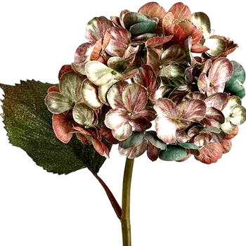 Hydrangea -  Velvet Shimmer Terra/Sage 19in - XFS468-GR/PK